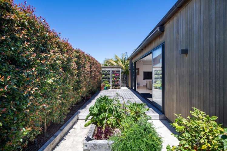 12a Park Avenue Takapuna_9