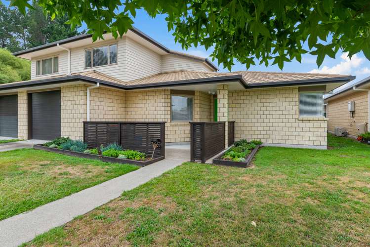 33/64 Kawaha Point Road Kawaha Point_12