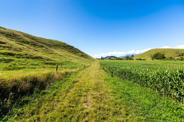 860 Egmont Road Hillsborough_17