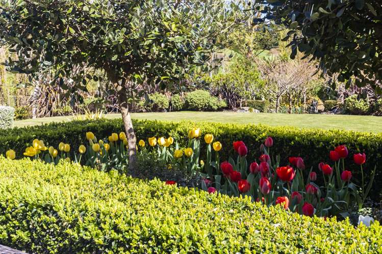 220f Kennedys Bush Road Kennedys Bush_27