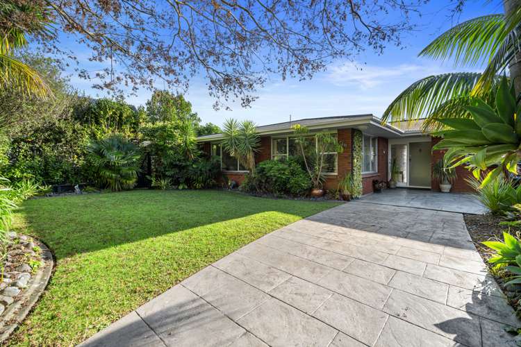 52 Vine Avenue Maungatapu_8