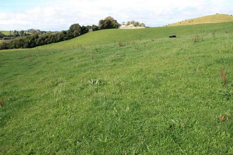 185 Bristol Road Pareora_7