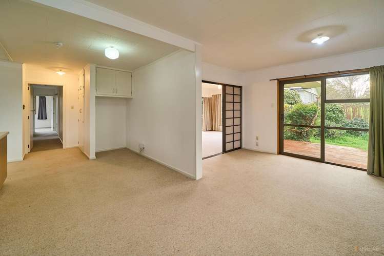 23 Flatman Crescent_4