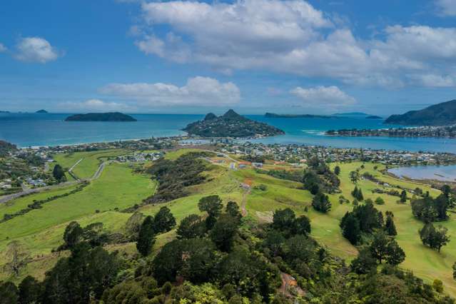 - Pepe Ridge Tairua_2