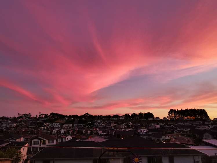 66 Ormonde Drive Millwater_6