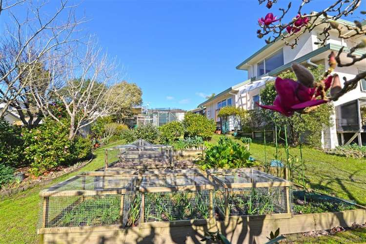 14 Queen Natalie Place Massey_18