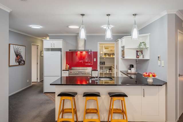 14 Pokaka Street Birchville_2
