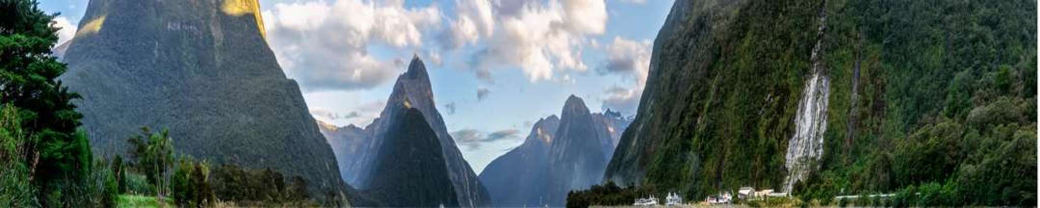 Propertyscouts Invercargill