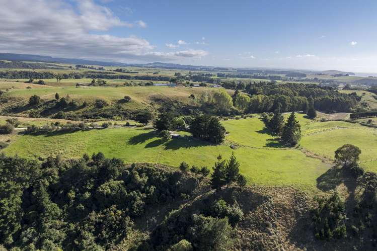 83 Duncan Road Hampden_24