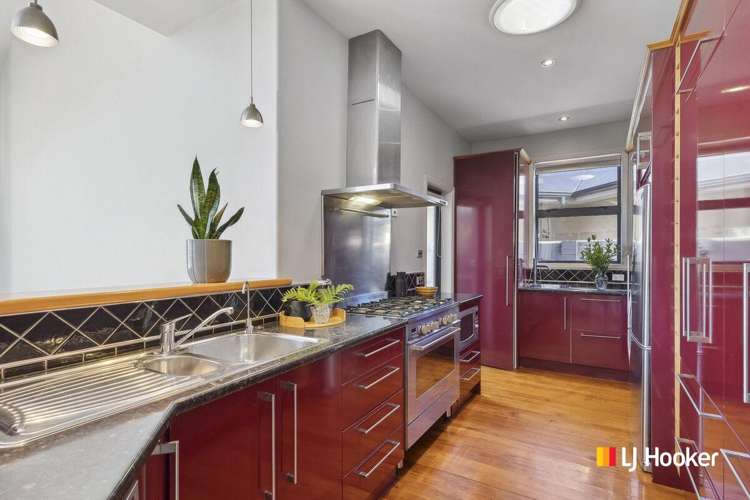 85 Hargest Crescent Saint Clair_5