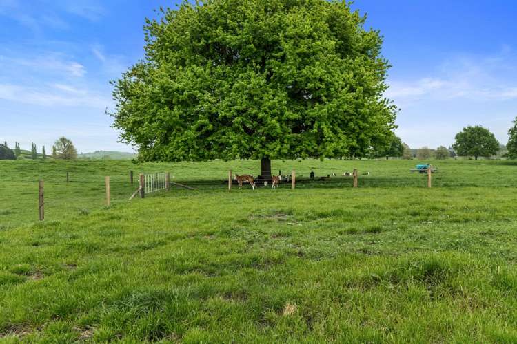 18 Pond Road Matamata_33