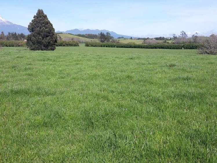 346 Rugby Road Tariki_63