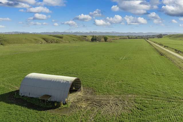 Ngaruru Road Ongaonga_4