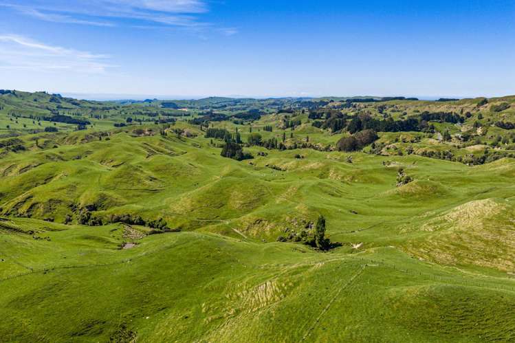 1262 - 1520 Maraetotara Road Waimarama_19