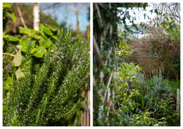 113 Grafton Road Thames_12