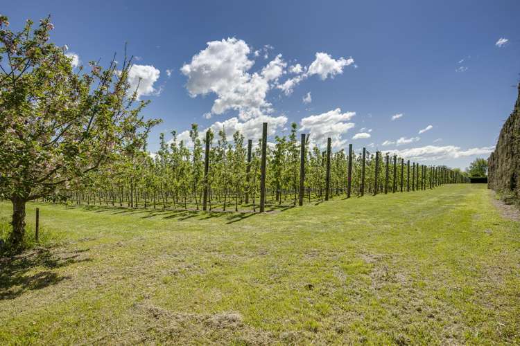 1127 Riverslea Road South Longlands_34