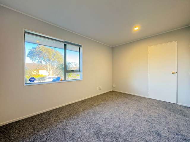 49 Michael Jones Drive Flat Bush_4