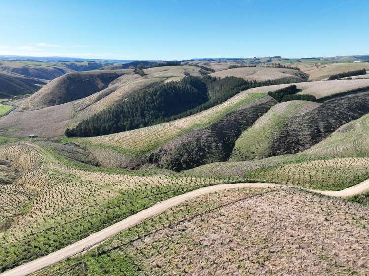 174 McCulloch Road Awamangu_5