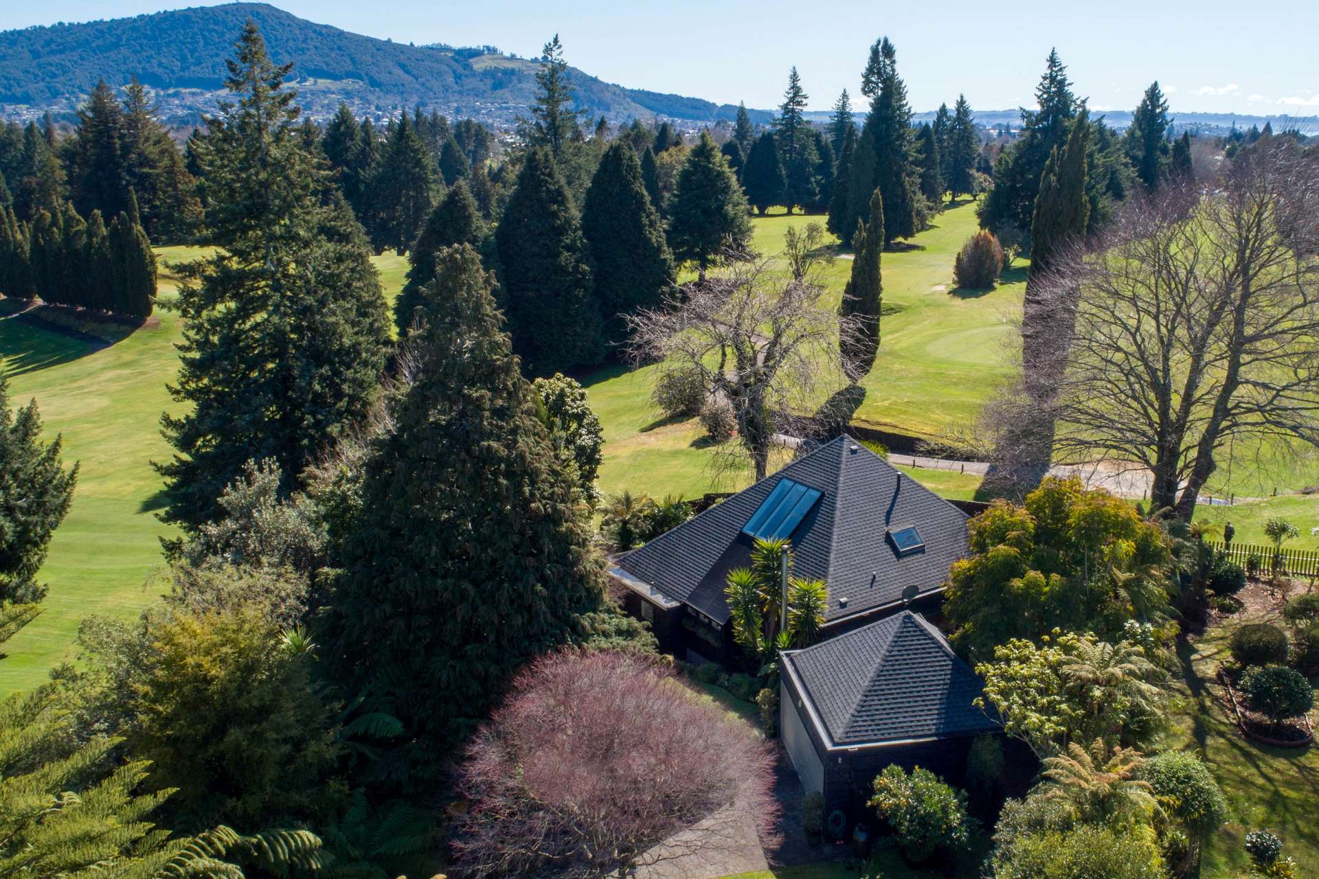 83 Springfield Road Springfield_0