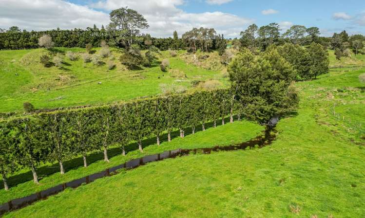 231 Walford Road Aongatete_16