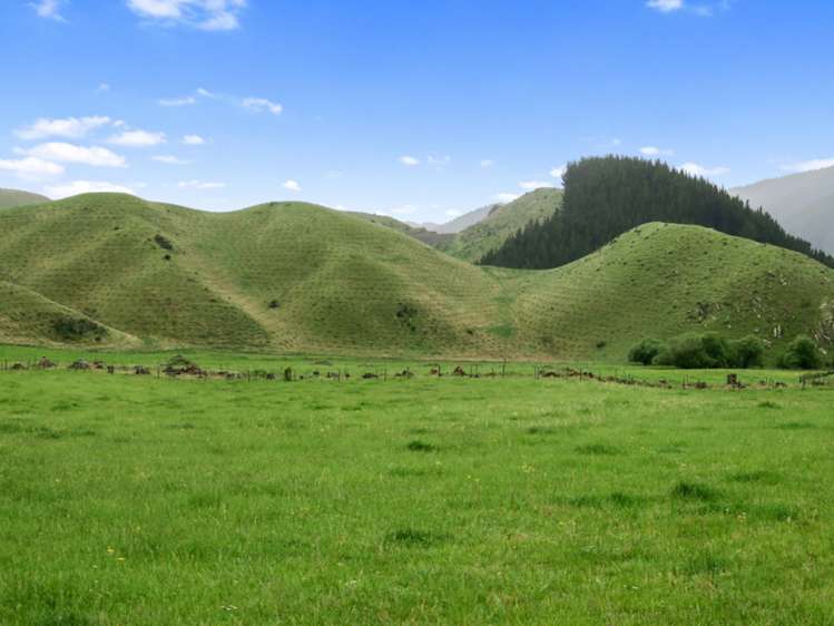 3093 Waihopai Valley Road Waihopai Valley_23