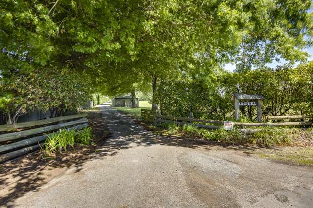 'Lochiel' - 105 Longlands Road West Longlands_4