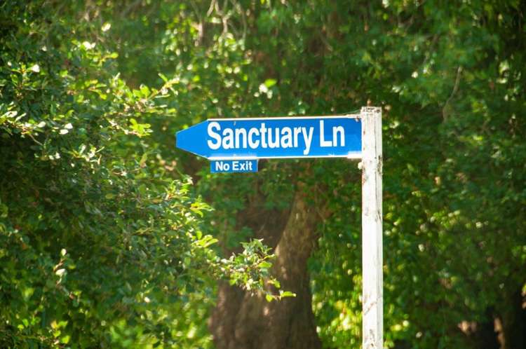 11 Sanctuary Lane Tamahere_49