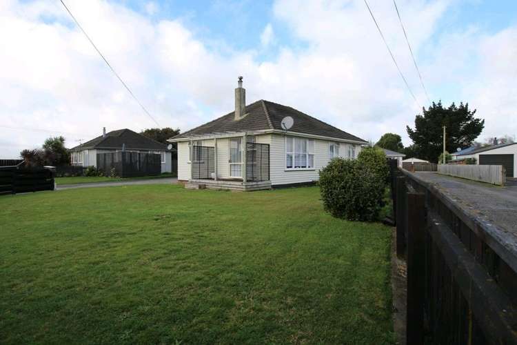 20 Ward Street Bulls_43