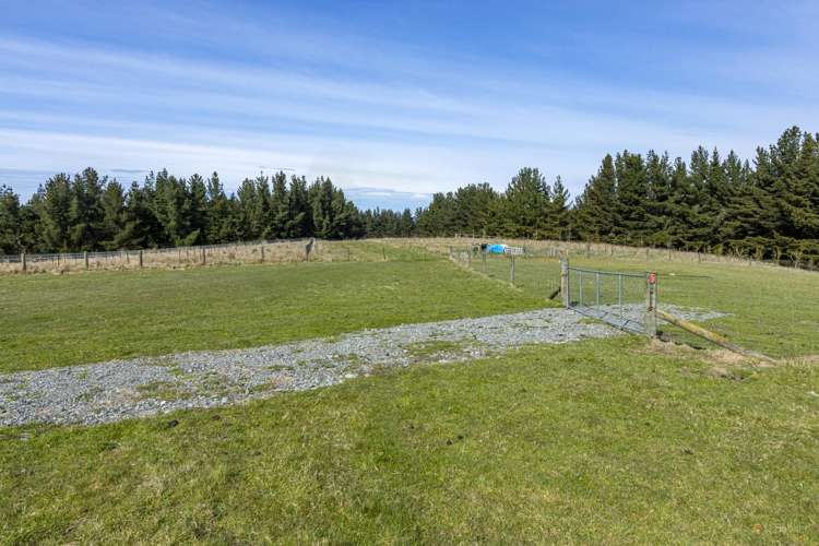 356 Downs Road Geraldine_7