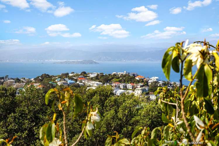 44 Highbury Road Highbury_19