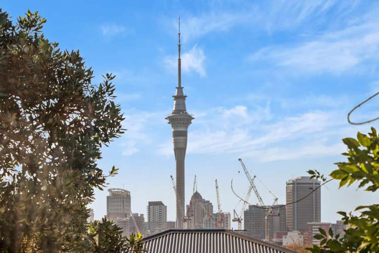 39 Georgina Street Freemans Bay_2