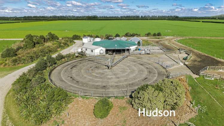 Aurora Dairies Te Pirita_4