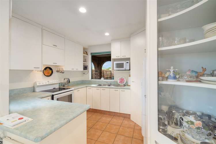 6 Tulip Lane Spreydon_5