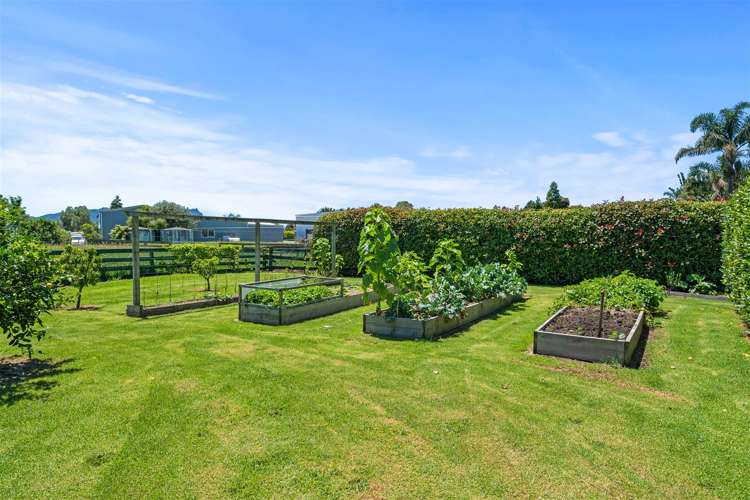 656a One Tree Point Road Ruakaka_29