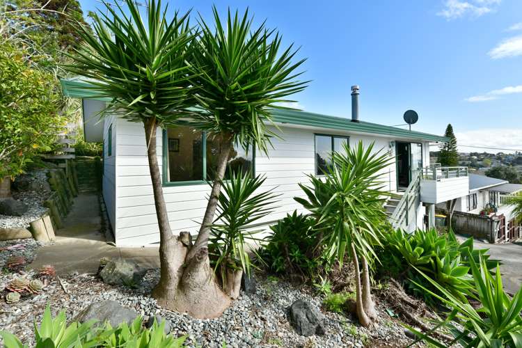 8a Scott Road Stanmore Bay_14
