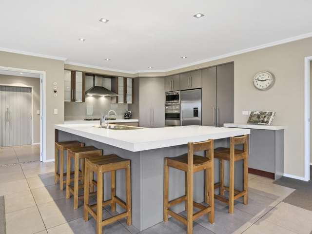 53 Stirling Drive Morrinsville_3