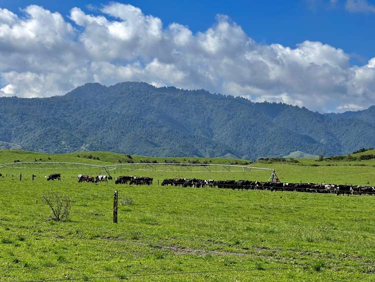 3931 Galatea Road Murupara Surrounds_18