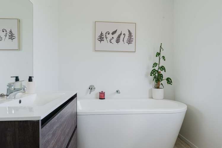 163F Ngahape Road Te Awamutu_12