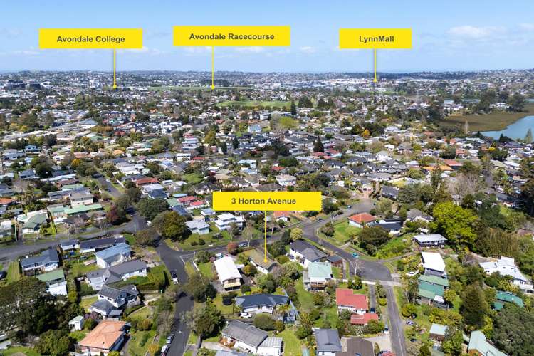 3 Horton Avenue Avondale_21