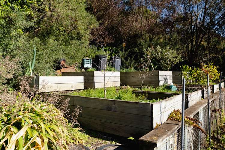 36 Cardigan Street North East Valley_21