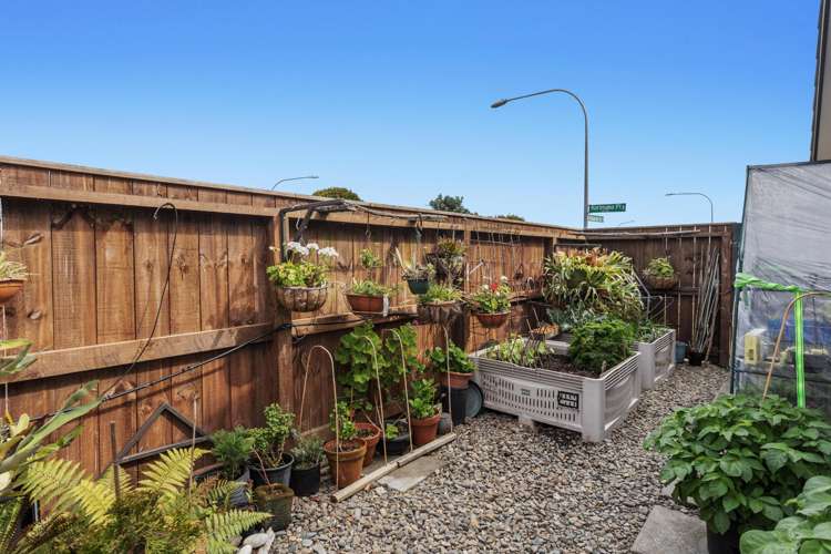 2 Korimako Place Coastlands_15