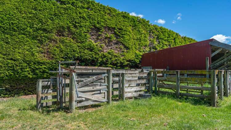 49 Ashworths Road Amberley_21