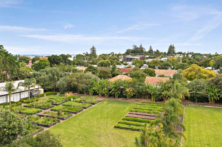 408/9D Jordan Avenue Onehunga_4