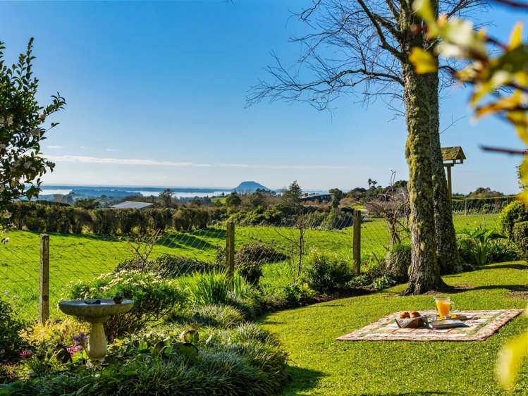533 Wainui South Road Whakamarama_7