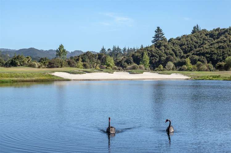 68 Pinehurst Drive Pauanui_5