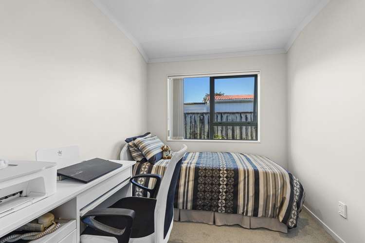 153A Carrington Street Vogeltown_18