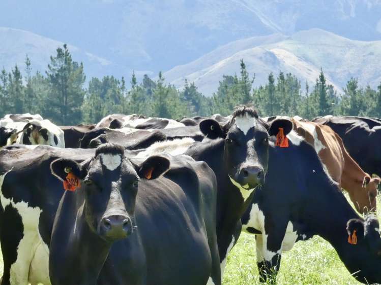 400 Keens Road Springfield_12