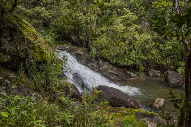 586 Tapu Coroglen Road Coromandel Forest Park_3