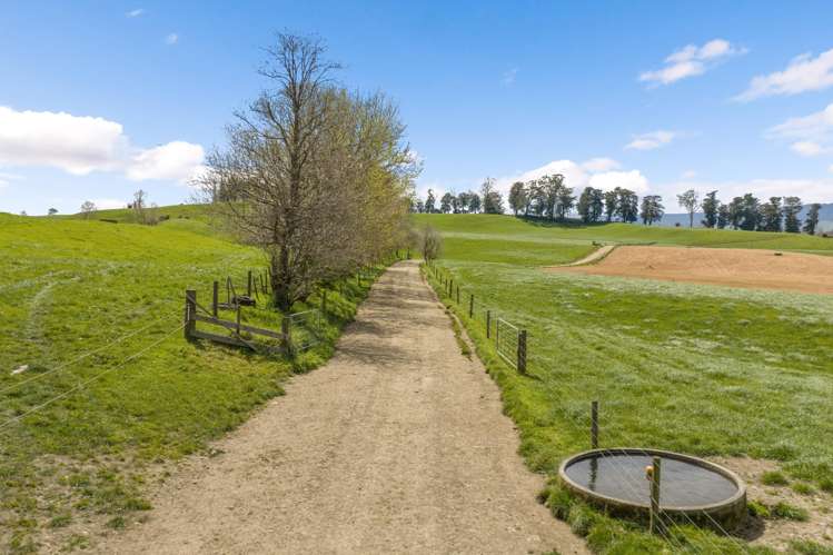 58 Nicholson Road Piarere_23