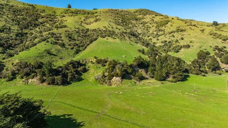 1234 Okains Bay Road Okains Bay_9